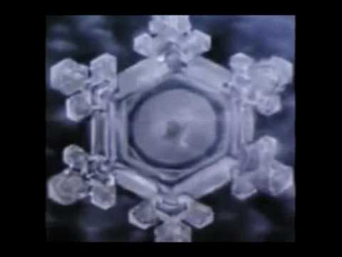 Έχει το νερό συνείδηση;