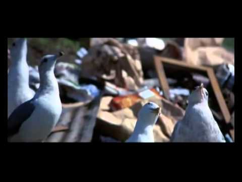 Ο γλάρος Ιωνάθαν Λίβινγκστον – Ρίτσαρντ Μπαχ