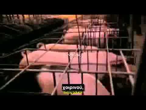 Phase 3 PART 14 Βιομηχανικό Σύστημα Φαγητού