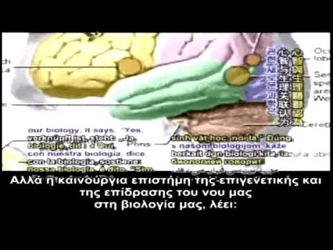 Μια μεταφυσική οπτική των γονιδίων (3/4)