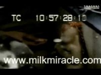 Επιλεγμένα αποσπάσματα από τα βίντεο αυτού του ιστοχώρου (1/11)