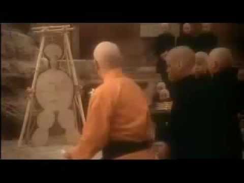 Ταό Κουνγκ Φου 2 – Η ενέργεια είναι αιώνια