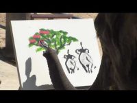 Ελέφαντας ζωγραφίζει – καλύτερα από εμάς…