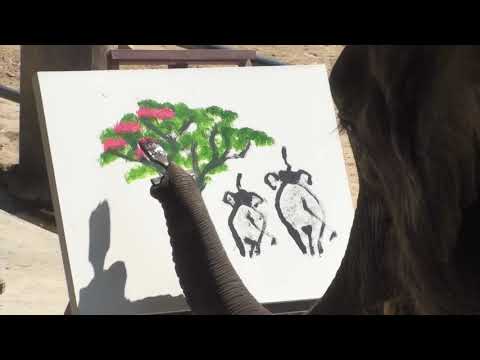 Ελέφαντας ζωγραφίζει – καλύτερα από εμάς…